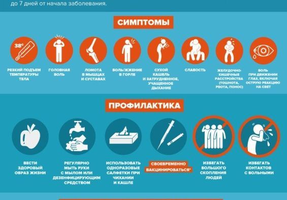 ГРИПП.jpg
